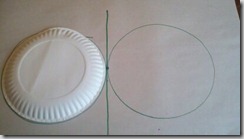 13479768435081